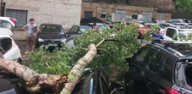 Вчорашній буревій у Києві вбив молоду жительку Сумщини