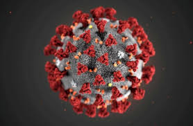 На Сумщині – 4 смерті від коронавірусу за добу