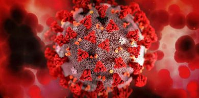 На Сумщині – 455 нових випадків коронавірусу