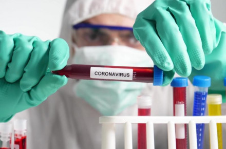 Новий рекорд: на Сумщині за добу виявили 1355 випадків коронавірусу