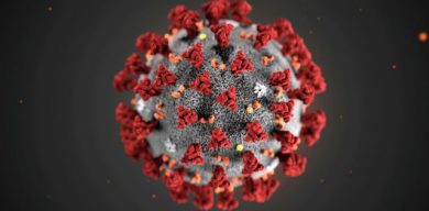 Новий рекорд: на Сумщині за добу виявили 2073 випадки коронавірусу