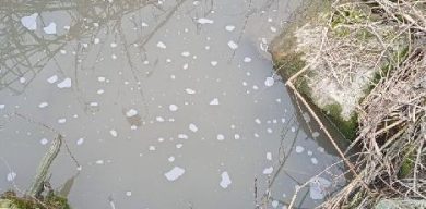 У Сумах виявили незаконний скид каналізаційних стоків