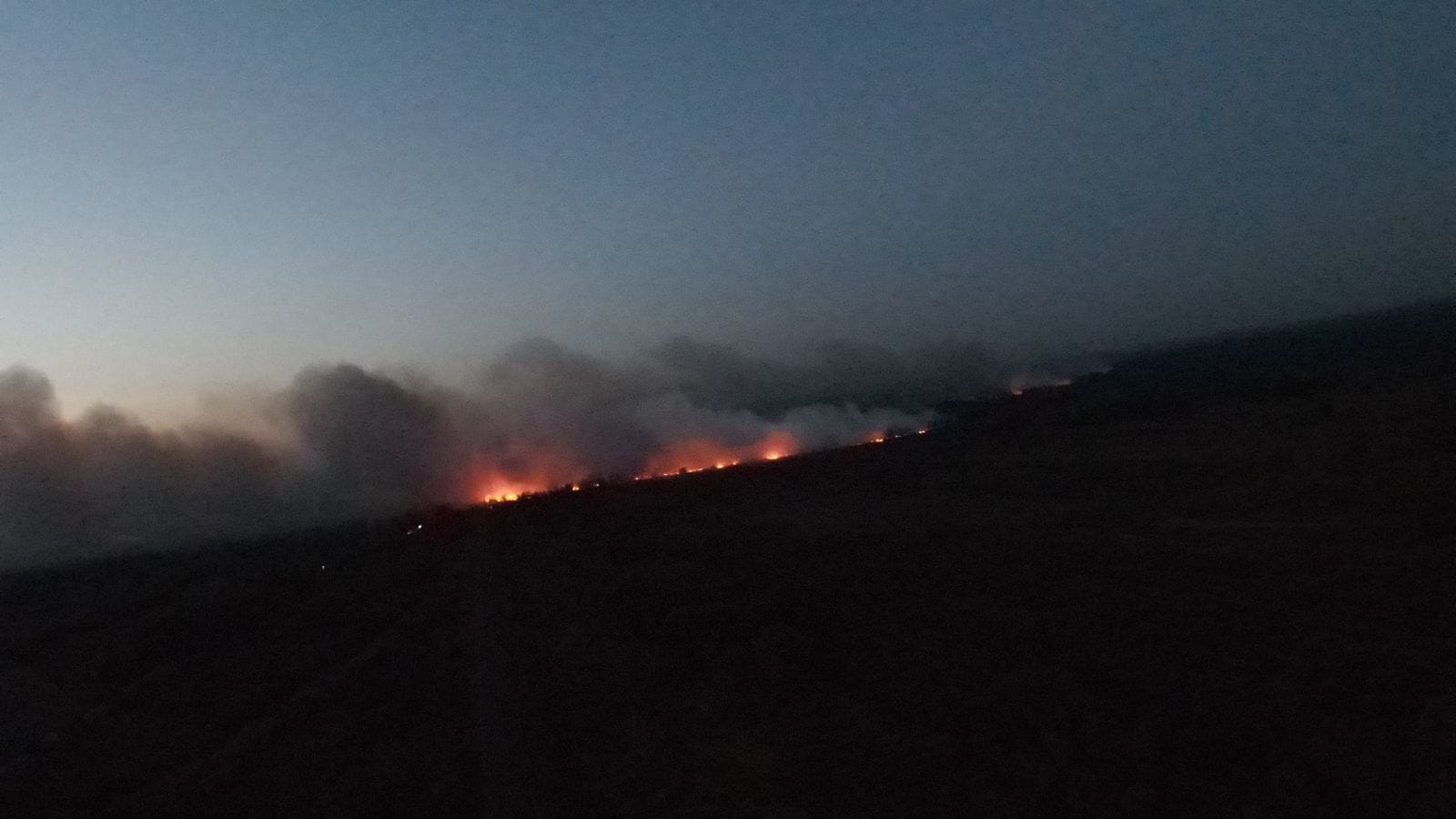 На Конотопщині другу добу гасять пожежу у лісі