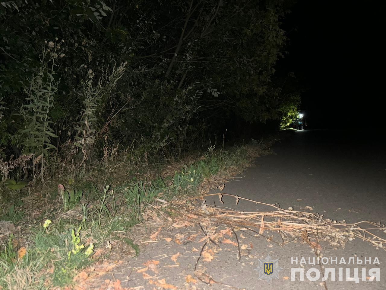 На Кролевеччині в ДТП загинули двоє хлопців