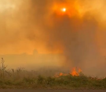 На Конотопщині другу добу гасять пожежу у лісі