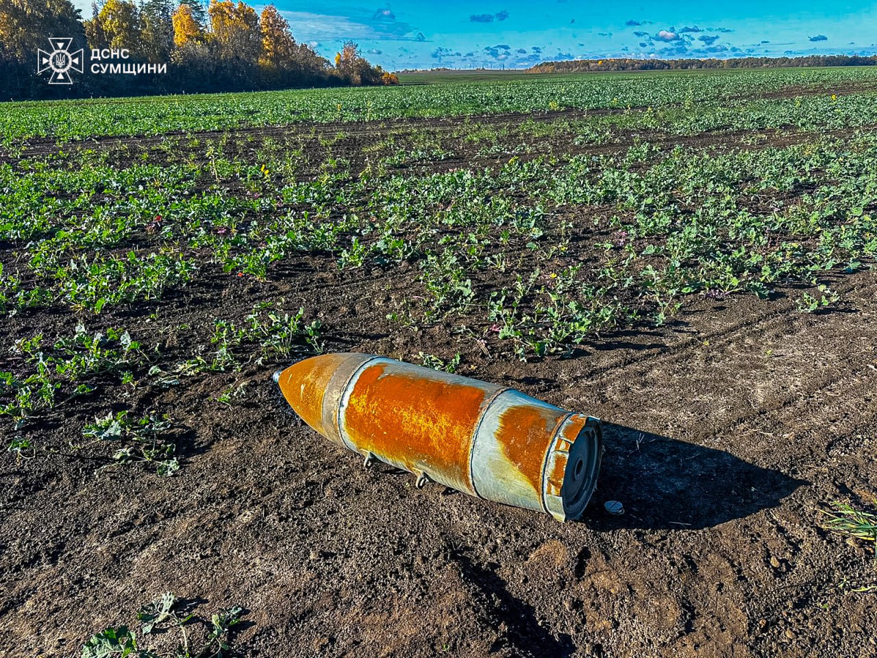 Піротехніки показали знищені за добу ворожі боєприпаси