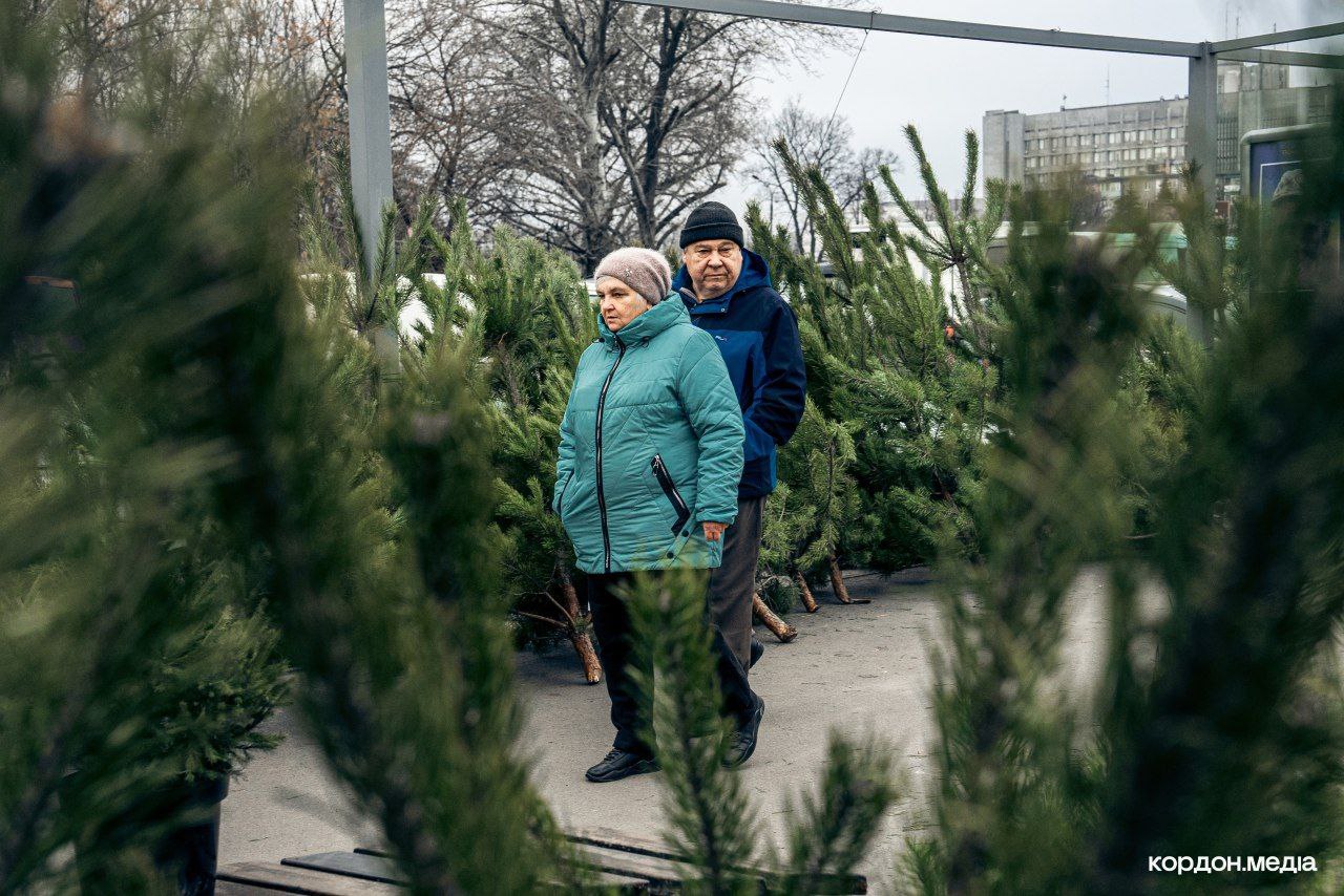 Фотофакт: сумчани активно готуються до Нового року