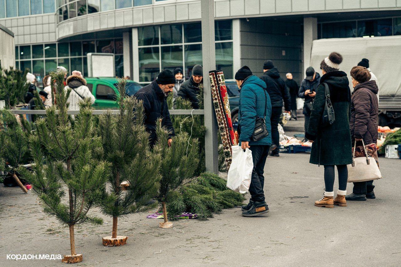 Фотофакт: сумчани активно готуються до Нового року