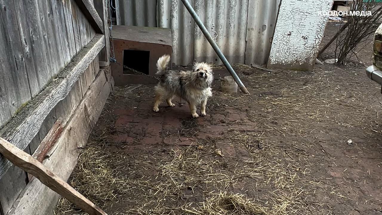 Фото з прикордонного Миропілля, яке потерпає від ворожих обстрілів