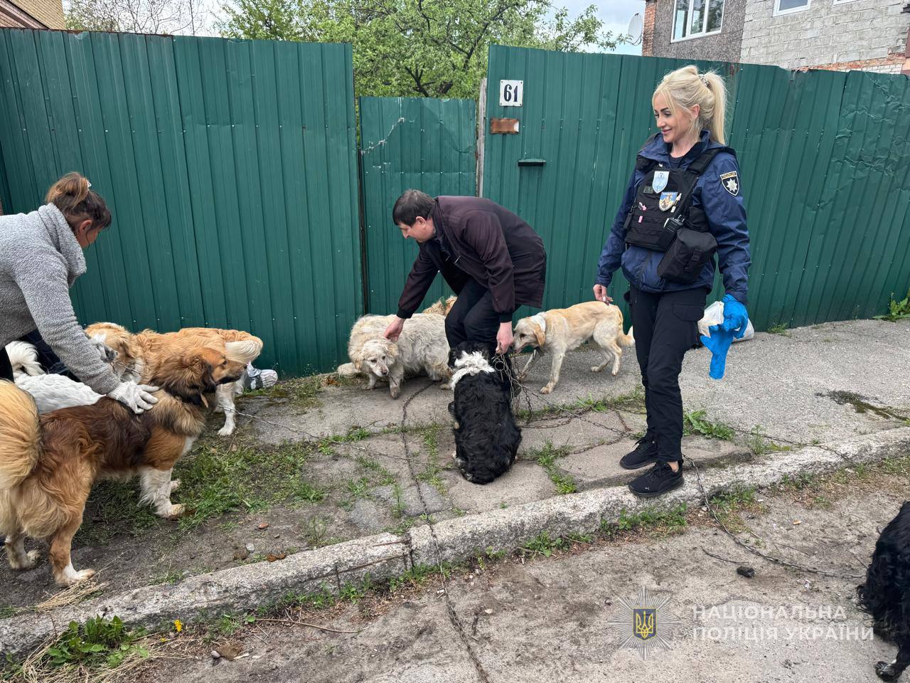 «Білі янголи» Сумщини здійснили евакуацію мешканки прикордоння з 12 собаками