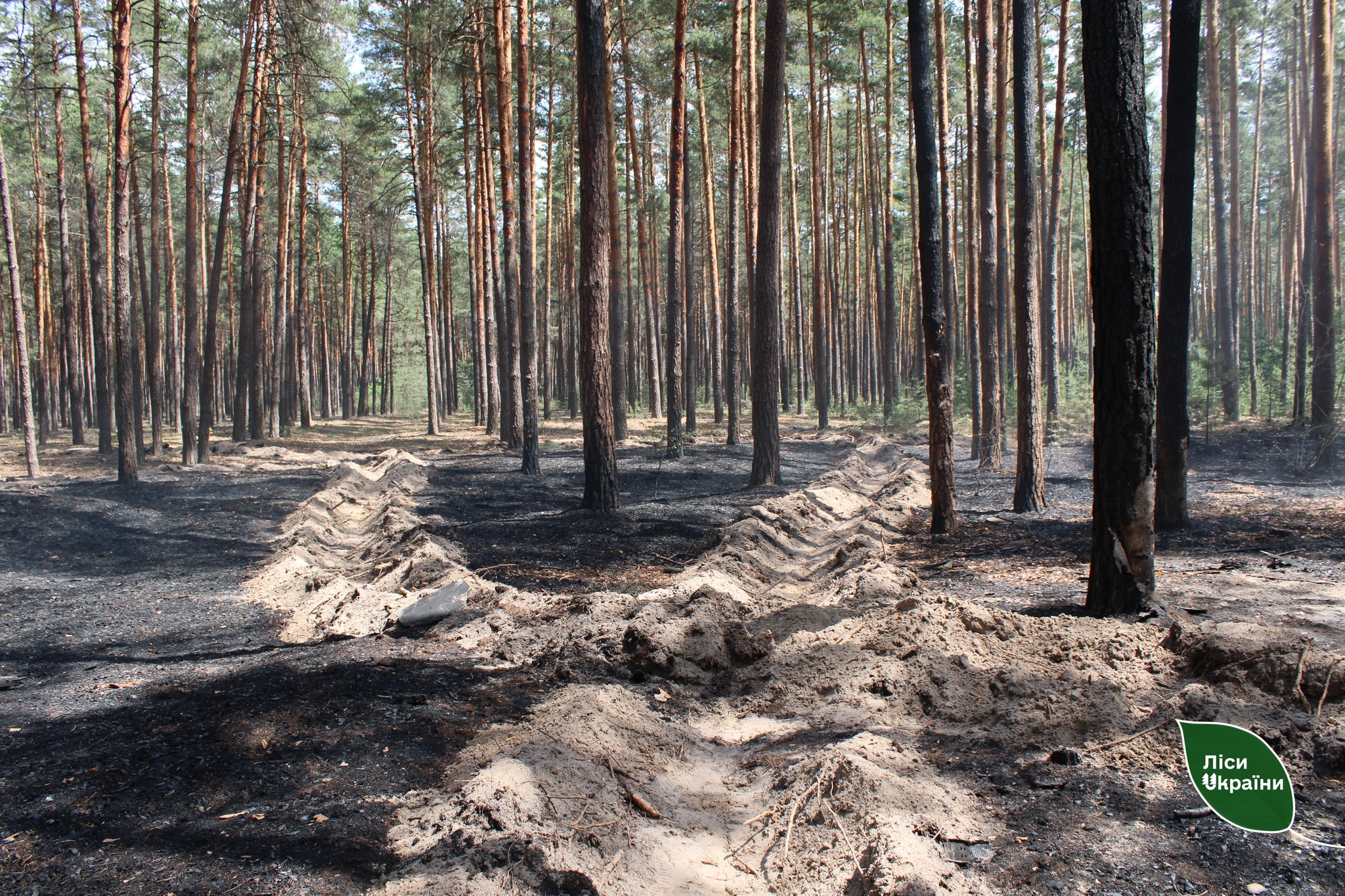 На Сумщині лісівники оперативно ліквідували пожежу після прильоту