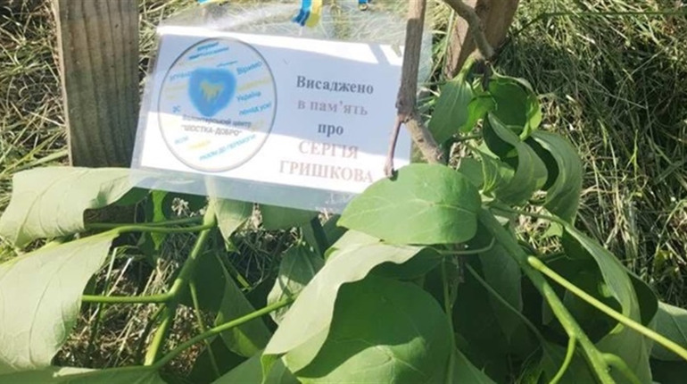 У Шостці понівечили дерево пам’яті про загиблого воїна