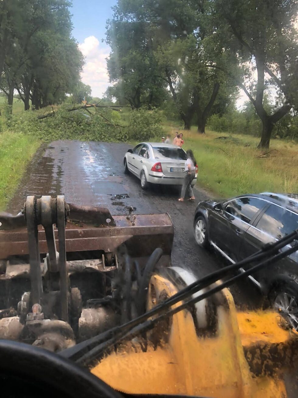 Буревій повалив дерева на дорогу між Шосткою та Ображіївкою