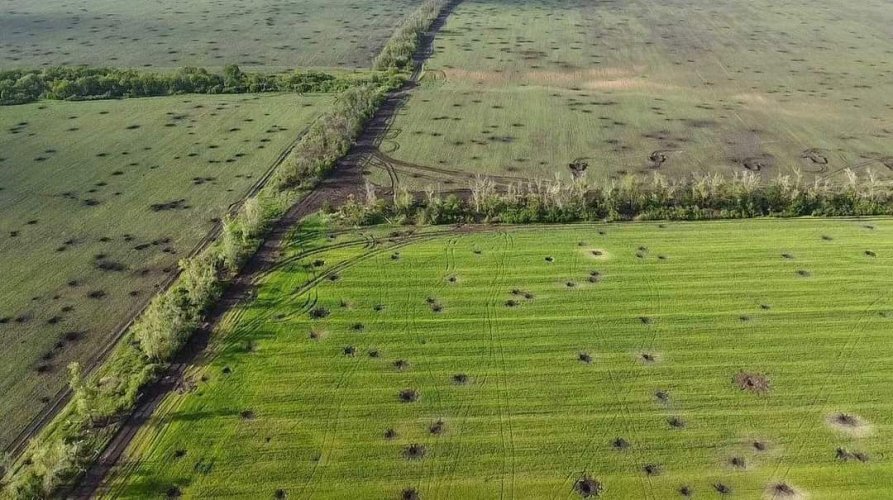 СНАУ та Королівський аграрний університет Великої Британії досліджуватимуть вплив війни на українські орні землі