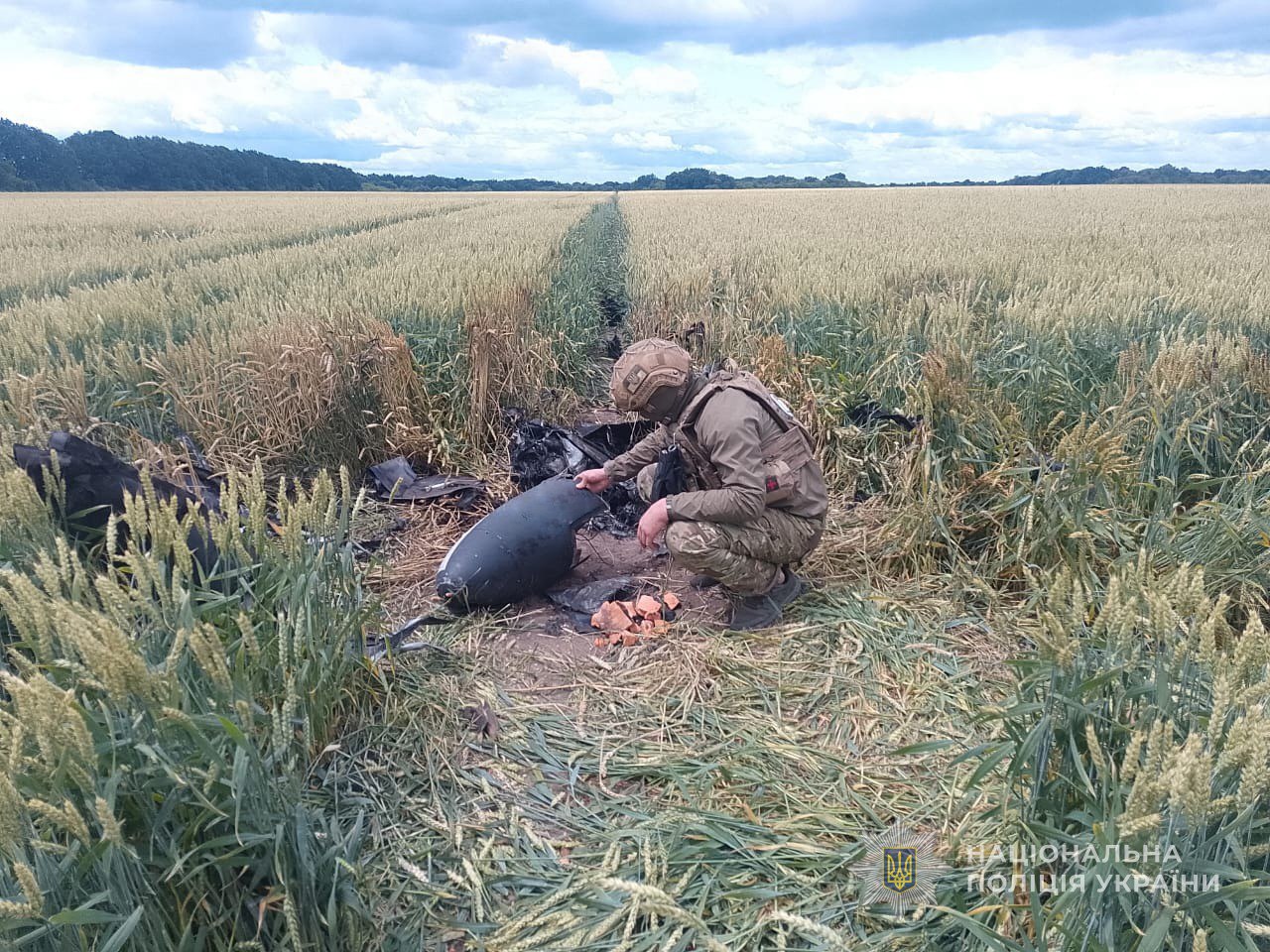 У пшеничному полі на Сумщині знайшли частину збитого ворожого безпілотника