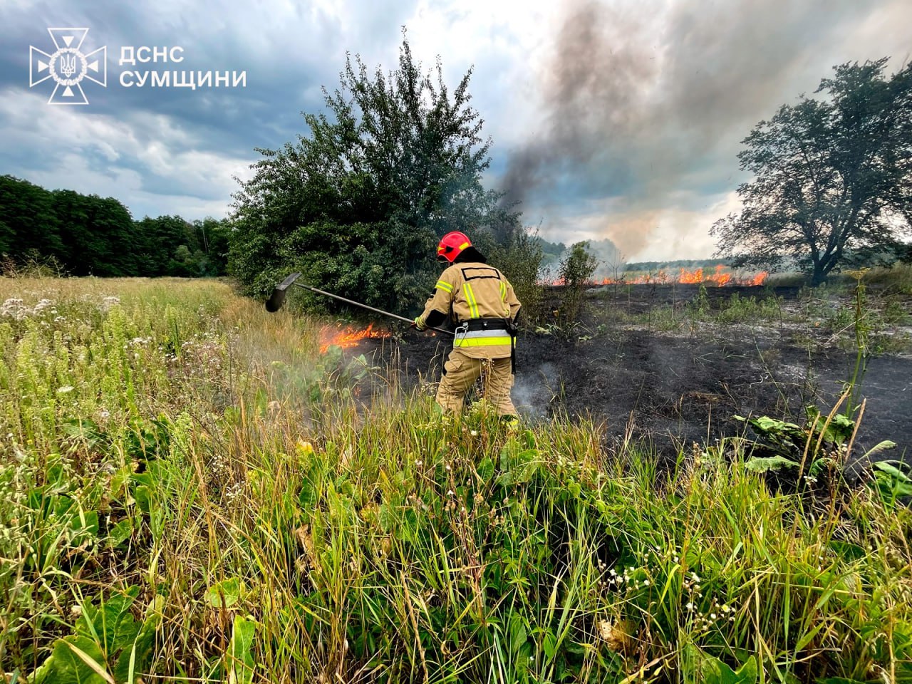 На Охтирщині чоловік отримав опіки, приборкуючи займання сухостою