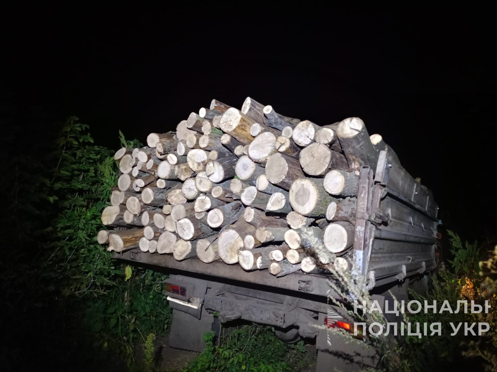 На Роменщині поліцейські припинили незаконну вирубку деревини