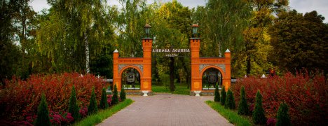 Липова Долина шукає свій стиль: громада оголосила «кастинг» на герб, прапор і логотип