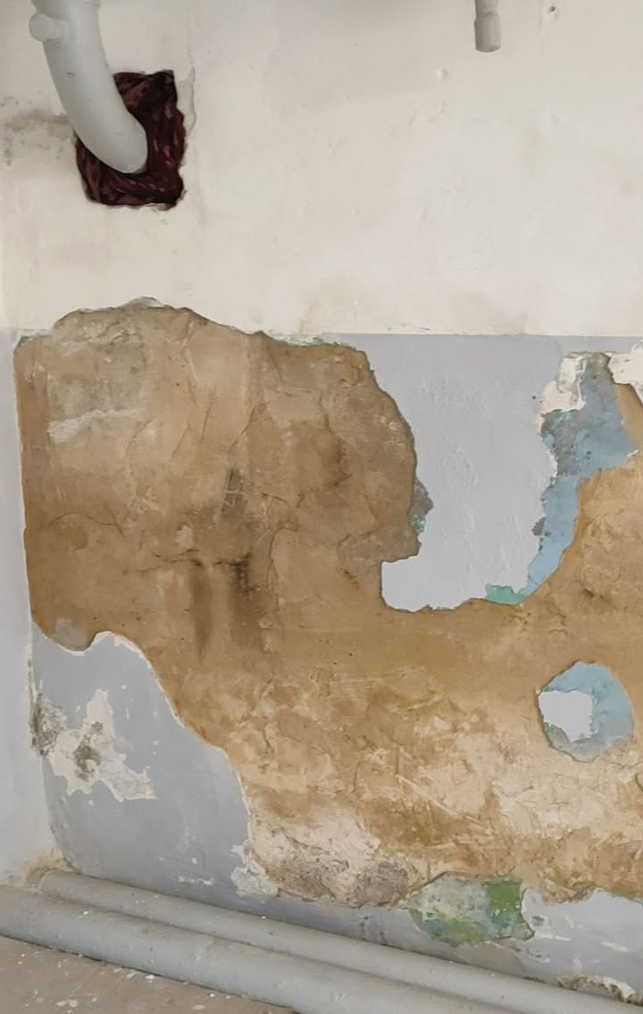 «Політичні рішення» Кобзаря: Як директорка школи №20 Ірина Шумило опинилася в центрі нових скандалів — і чому страждають діти