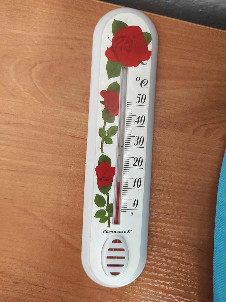 «Політичні рішення» Кобзаря: Як директорка школи №20 Ірина Шумило опинилася в центрі нових скандалів — і чому страждають діти