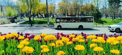 Через ремонт електромереж у Сумах завтра не курсуватимуть тролейбуси